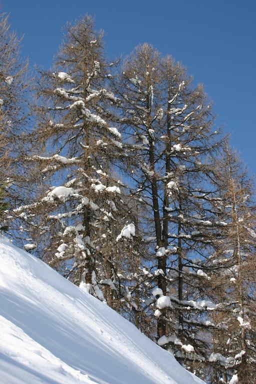 Madame Vacances Lodges Des Alpages La Plagne Kültér fotó